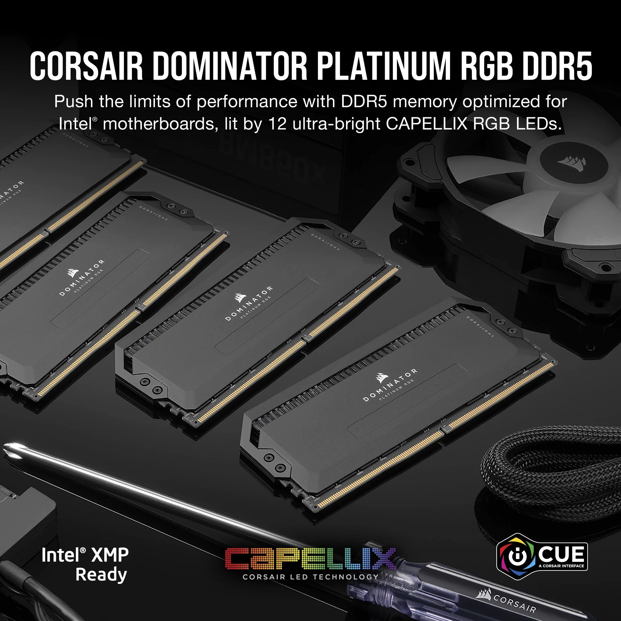 Corsair Dominator Platinum RGB - 64 GB 2 x 32 GB DDR5 6800 MHz memory module - Image 6