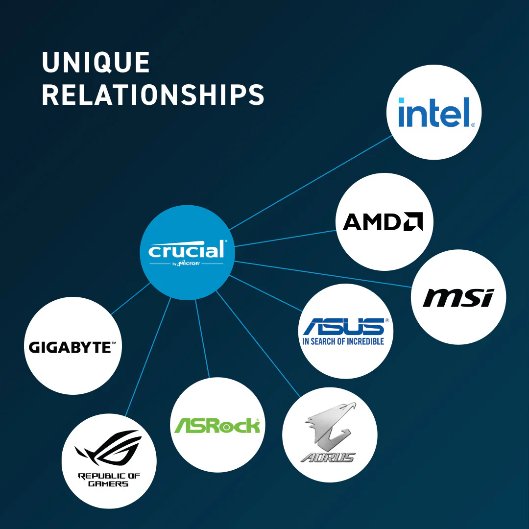 Crucial - 8 GB 1 x 8 GB DDR5 5600 MHz ECC memory module - Image 4
