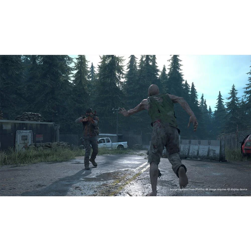 Days Gone - Image 2