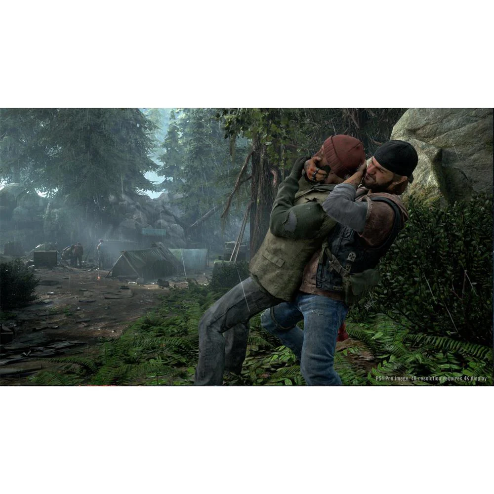 Days Gone - Image 3