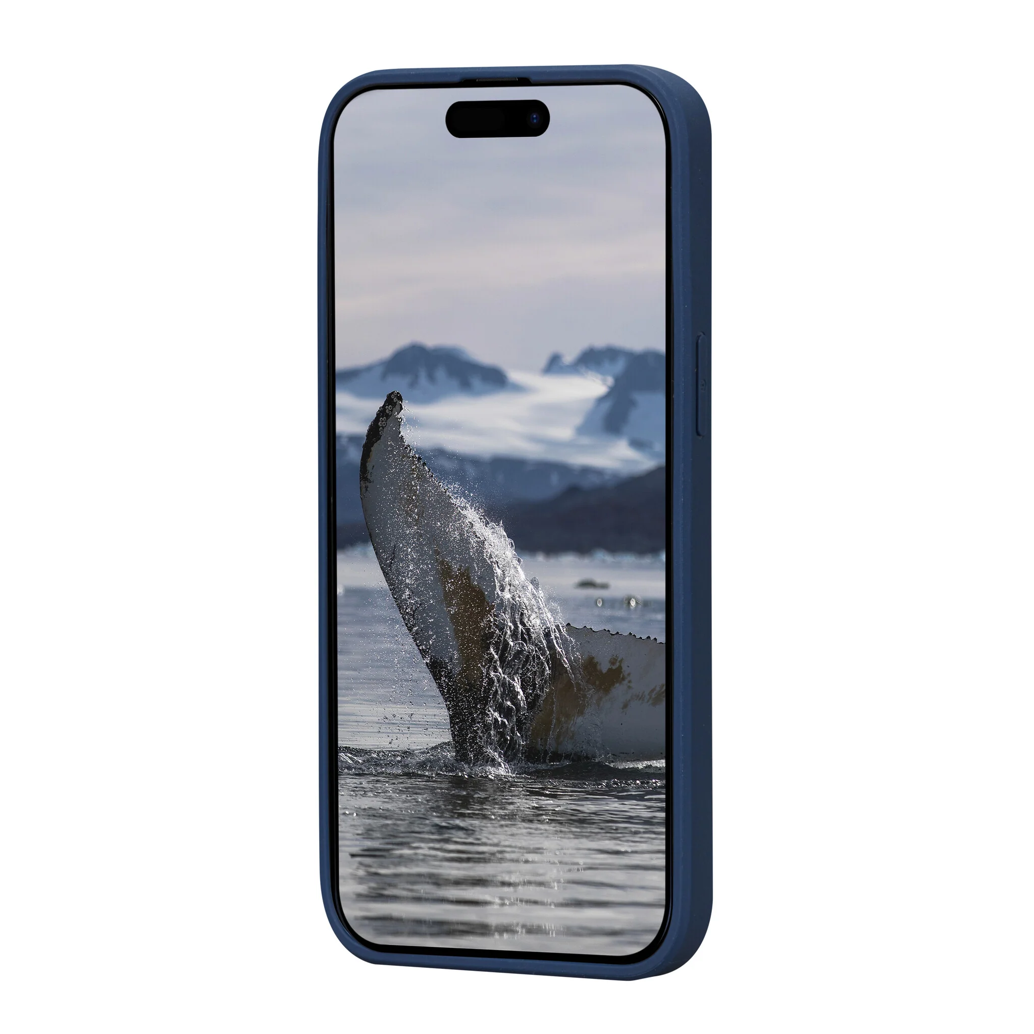 dbramante1928 Greenland for iPhone 15 Plus in Pacific Blue - Image 4