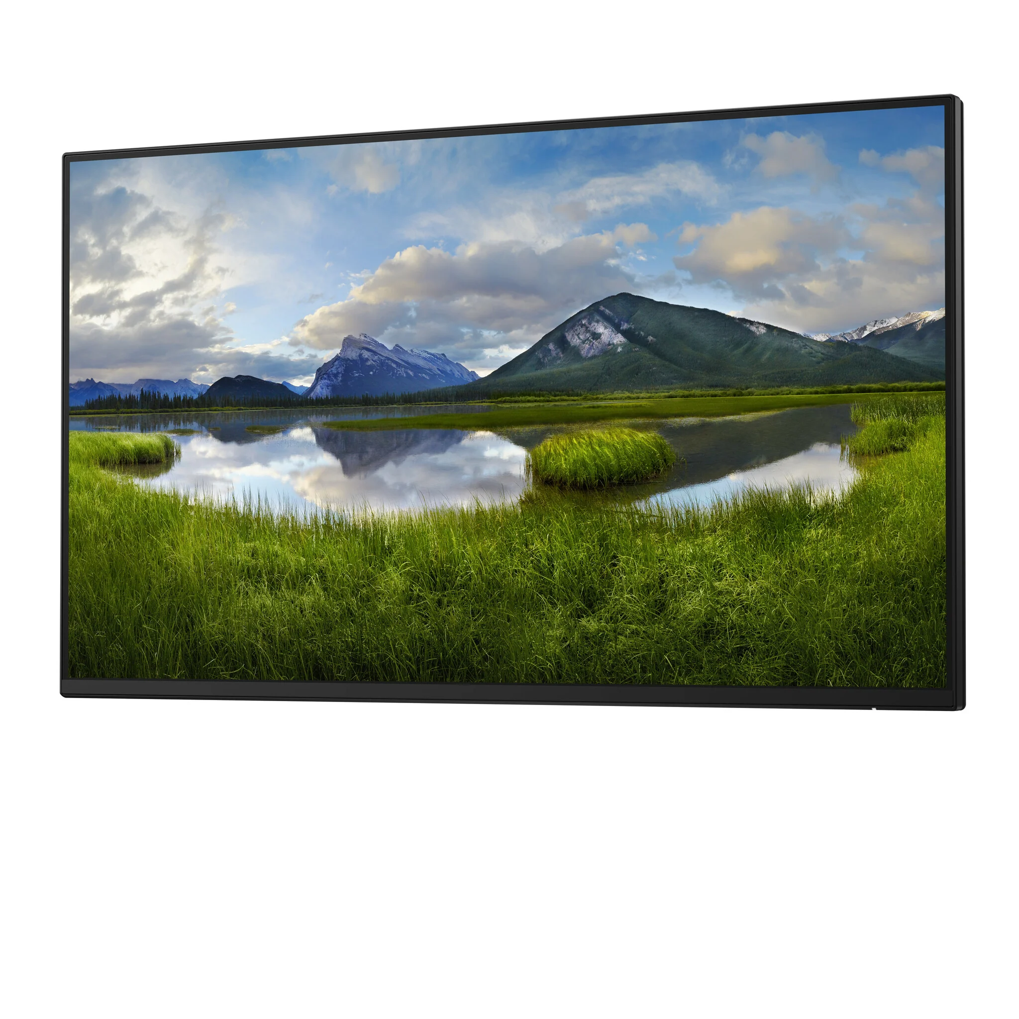 DELL P Series P2425H_WOST - 61 cm (24") - 1920 x 1080 pixels Full HD LCD Monitor (No Stand) - Image 3