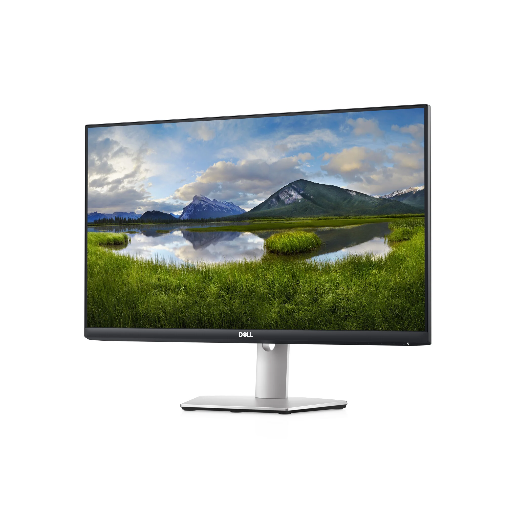 DELL S Series S2421HS - 60.5 cm (23.8") - 1920 x 1080 pixels Full HD LCD Monitor - Image 3
