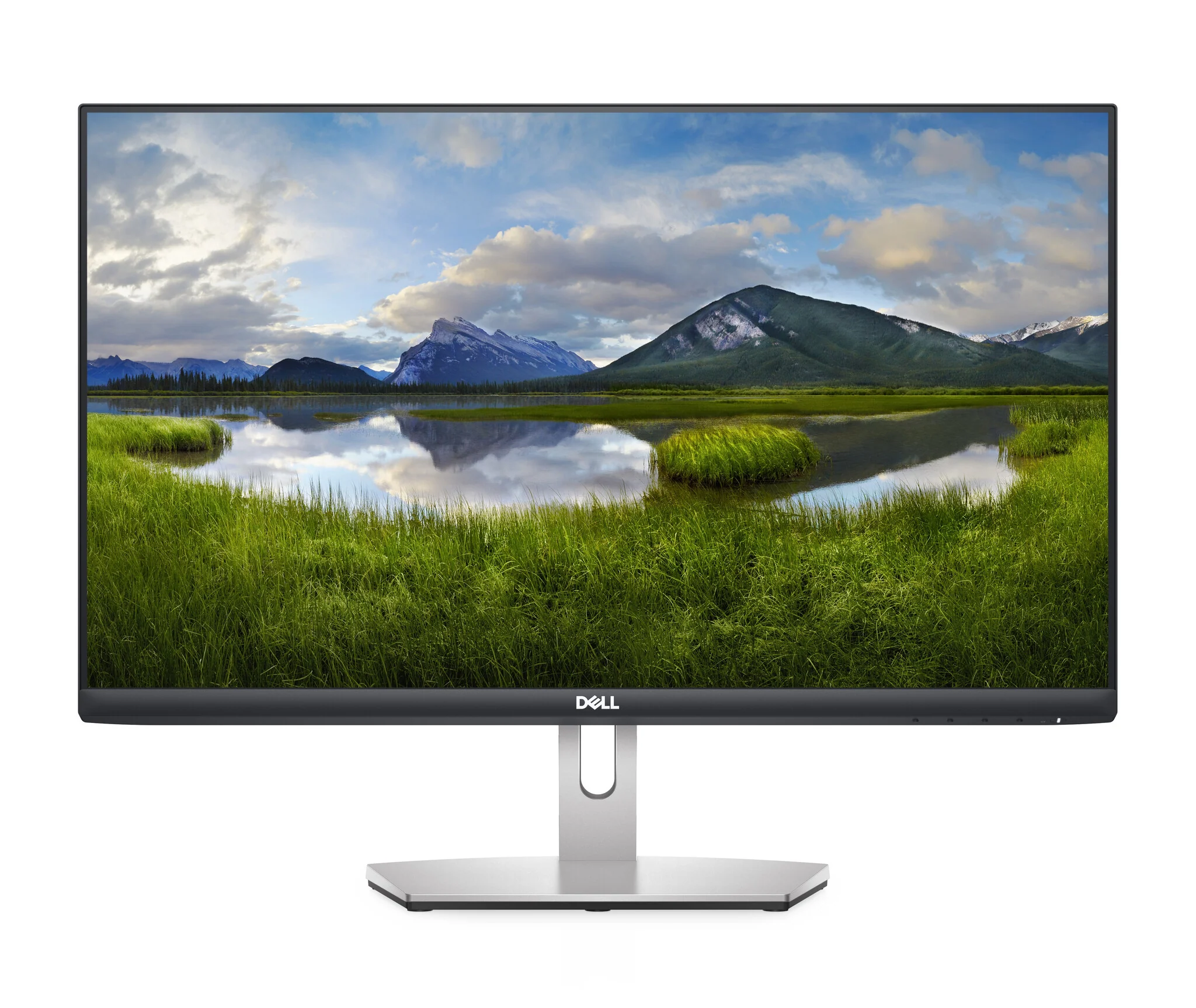 DELL S Series S2421HN LED display 60.5 cm (23.8") 1920 x 1080 pixels Full HD LCD