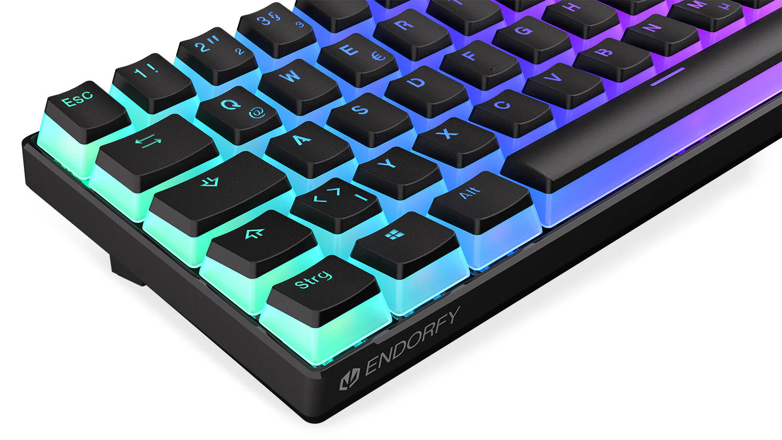 ENDORFY Thock Compact - USB Wired + RF Wireless RGB Mechanical Keyboard in Black (QWERTZ German) - Image 11