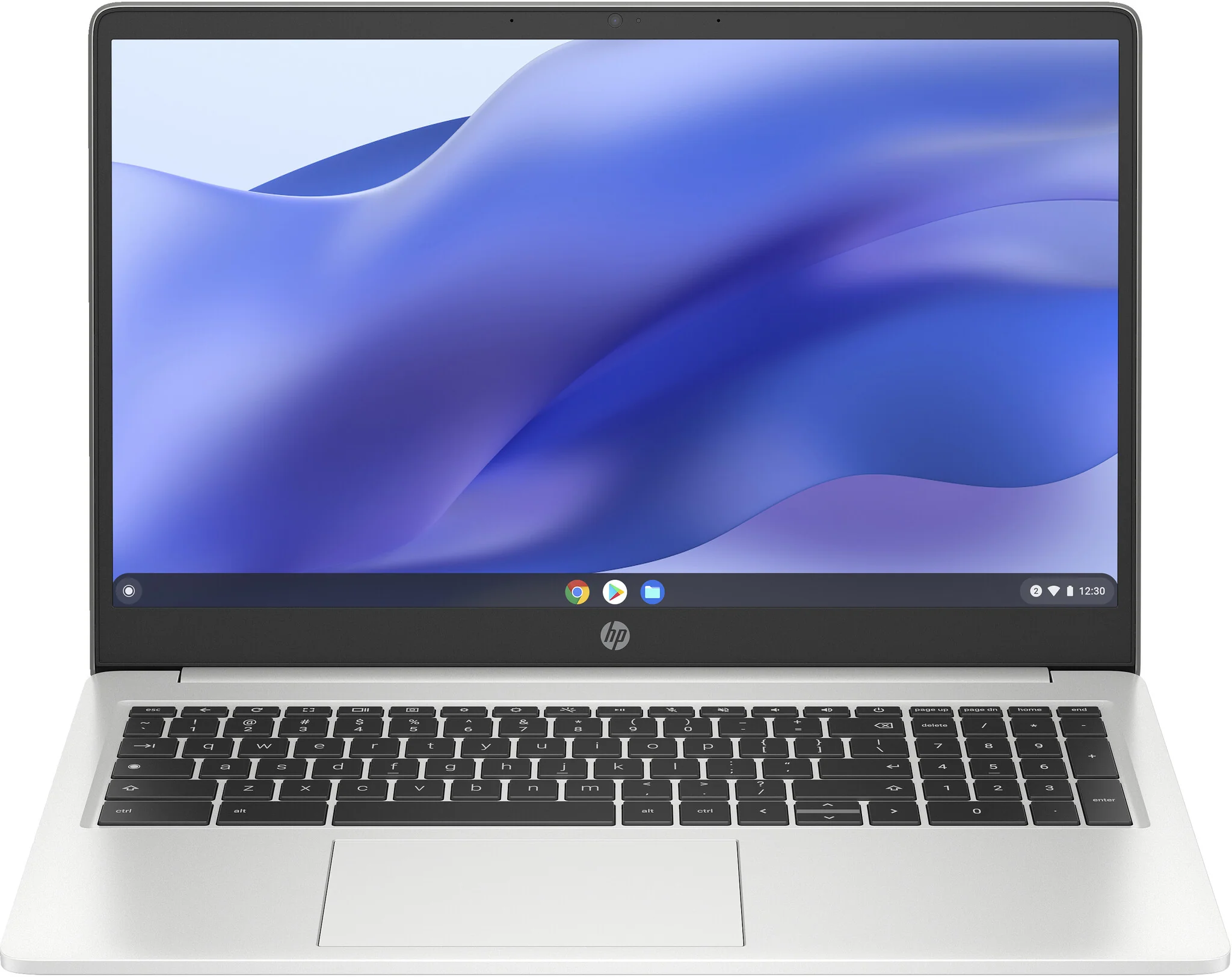 HP Chromebook 15a Laptop - 39.6 cm (15.6") - Intel® Pentium® Silver N6000 - 4 GB LPDDR4x-SDRAM - 128 GB eMMC - Wi-Fi 5 - ChromeOS - Silver