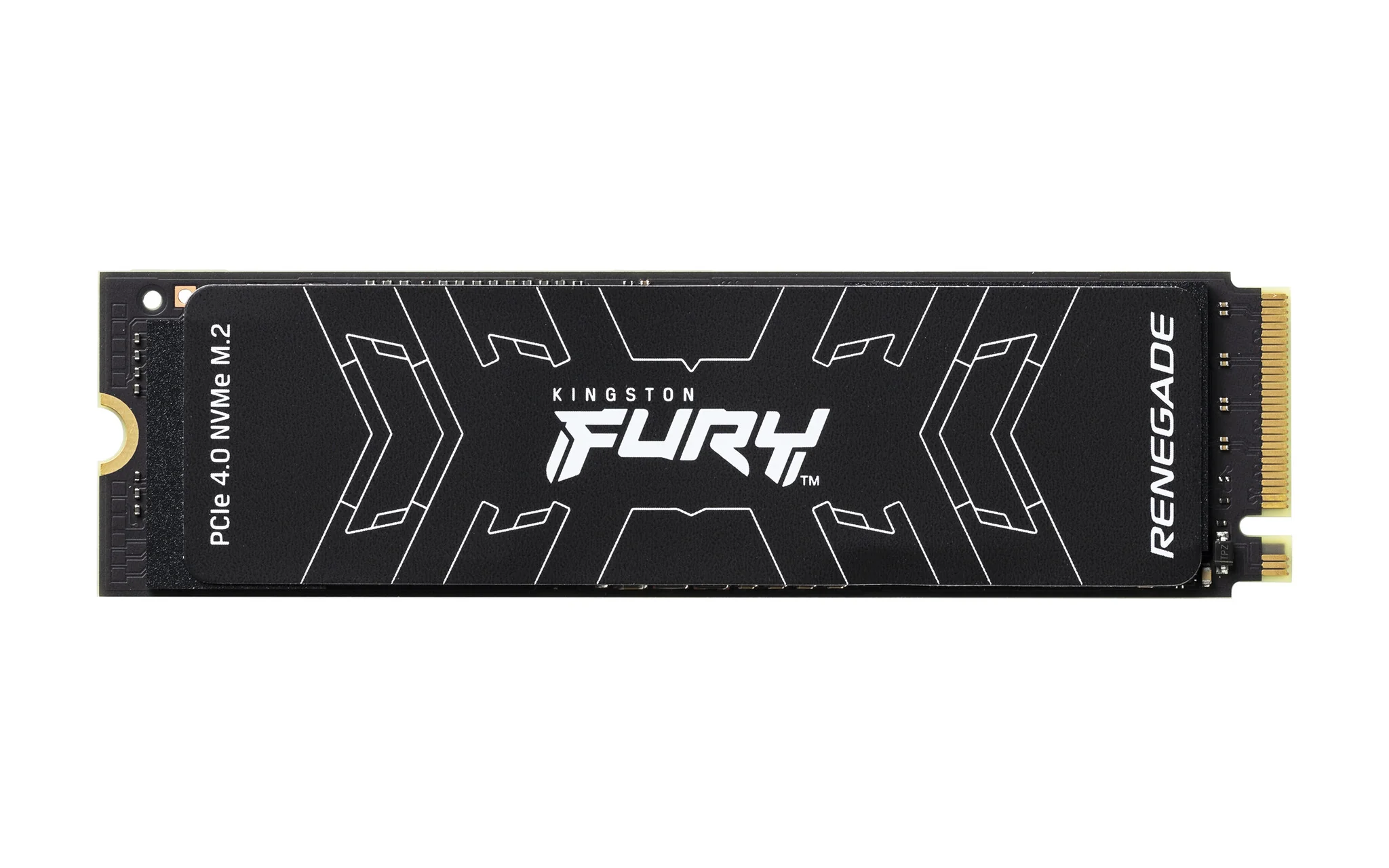 Kingston Technology FURY RENEGADE M.2 2280 NVMe SSD - 2 TB
