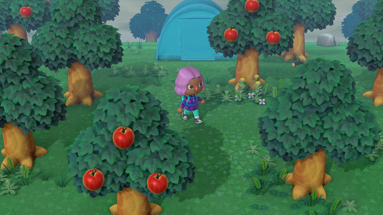 Animal Crossing: New Horizons - Nintendo Switch - Image 15