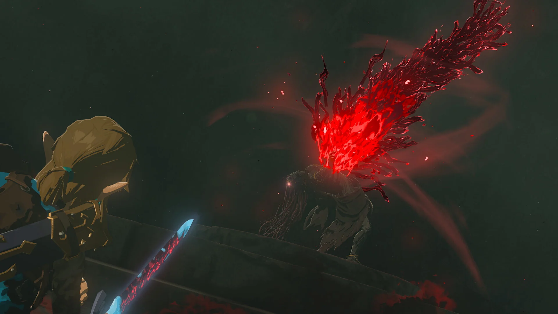 The Legend of Zelda: Tears of the Kingdom - Nintendo Switch - Image 24